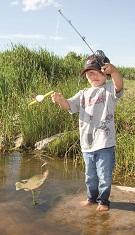 The Sport That Has Hooked America’s Heart