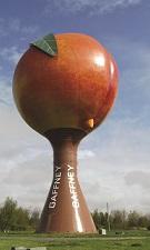 For Sports, Get into Gaffney, South Carolina