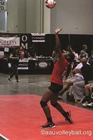 Amateur Athletic Union, Inc. (AAU): An Interview with Dr. Roger Goudy, President & CEO