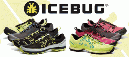 Icebug