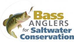 BASS_Saltwater