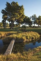 A Golden Era of Golf