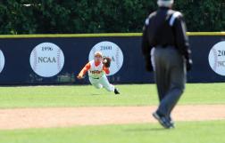 Pictures: Worth a Thousand Words