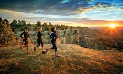 Head for the Mountains