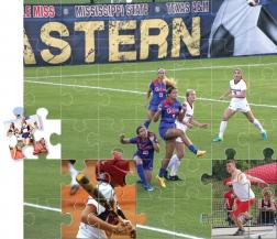 Pulling Together All the Pieces for Maximum Economic Impact