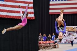 Gymnastics Takes Flight