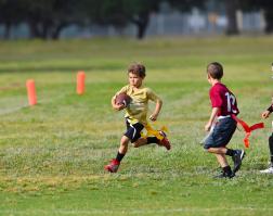 Football: What’s Happening on the Field?