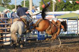 The Rodeo Roundup