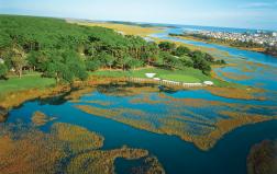 The Changing Landscape of Golf