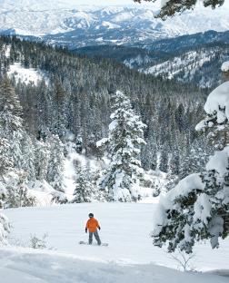 Purple Mountain Majesties