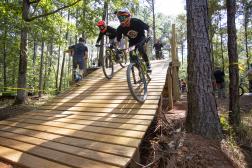 The Allure of College Towns