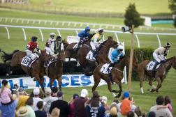 Varied and Victorious, Equestrian Sports are Riding High