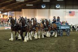 Crafting a Proposal that Gets Business