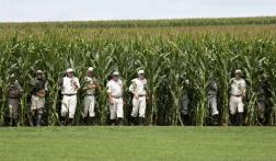 FoD_Cornfield_Smaller