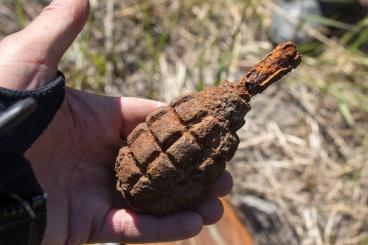 WWII Grenade Surprises Olympic Officials But USA Has Its Share of Scares