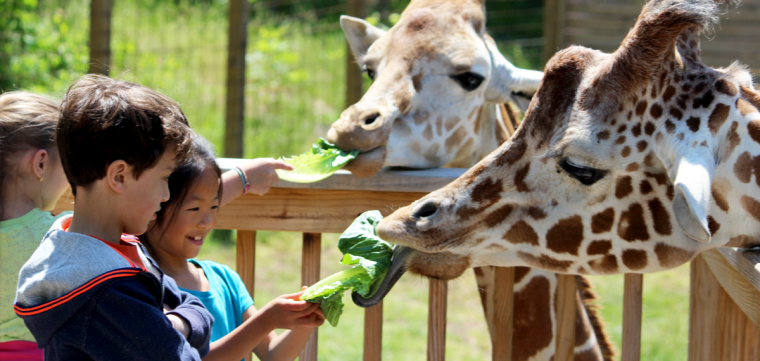 Make it MontoCo for adventure!