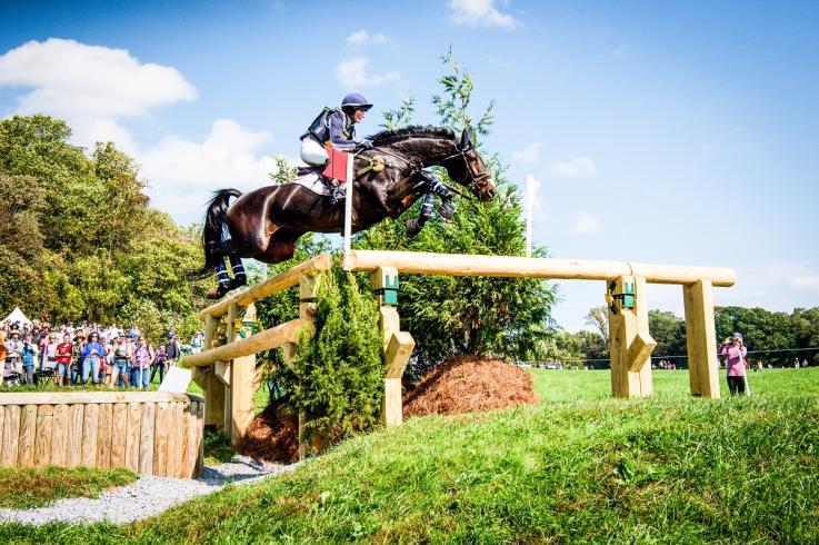 Maryland is horse country