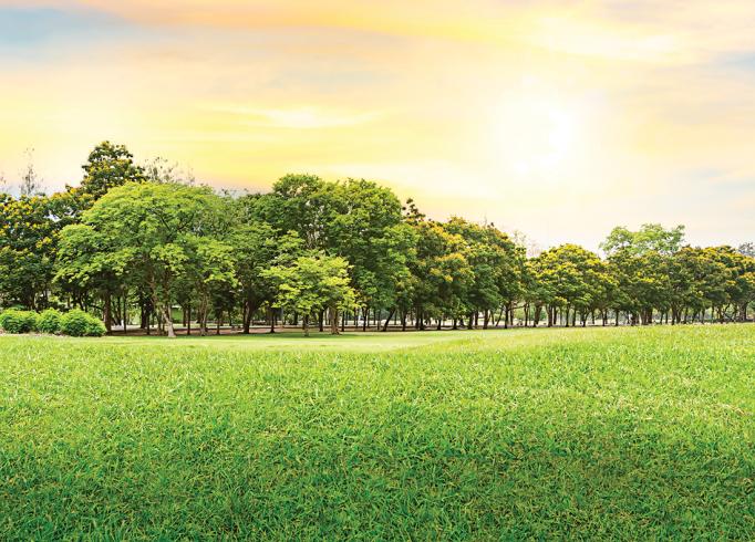 Photo © Chinnasorn Pangcharoen | Dreamstime.com