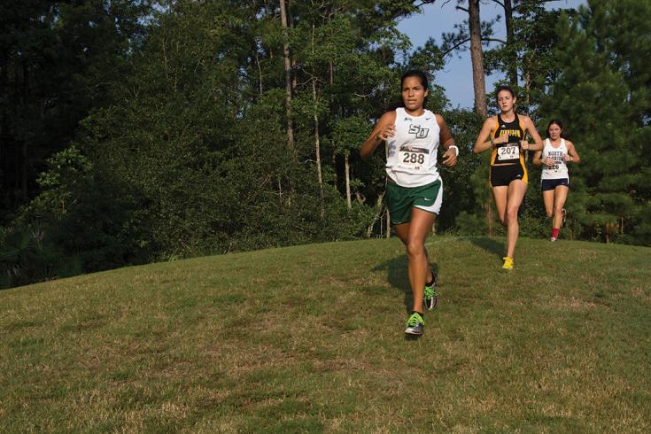 Crafting the RFP That Gets Results