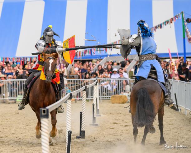 Jousts, Caber Toss, Sword Fights… Must be Renaissance Fair Season