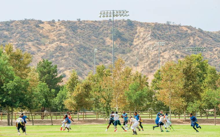 Men play a game of flag football on a grassy field with trees and a stadium light pole in the background.