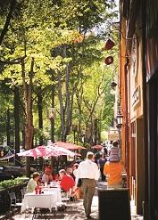 Greenville, South Carolina: The Team of Your Dreams