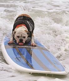 Surf City USA - Huntingdon Beach, California: Surf, Sand and So Much More for Sports