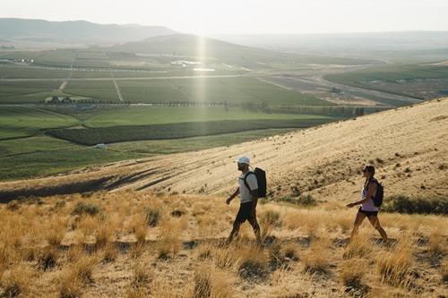 Tri-Cities, WA: Discover the Unexpected