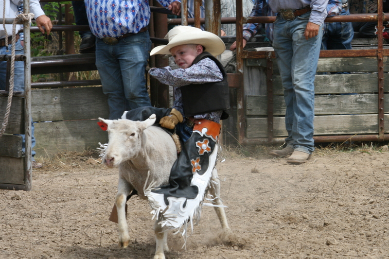 County Fairs Round Up Economic Impact and Serve as Gateway to Rodeo