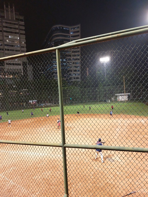 Adult Leagues Continue to Gain Recognition, Including Among Scientists