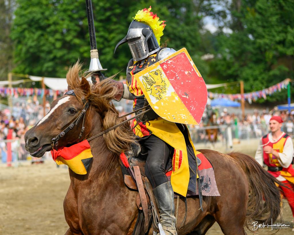 Jousts, Caber Toss, Sword Fights… Must be Renaissance Fair Season