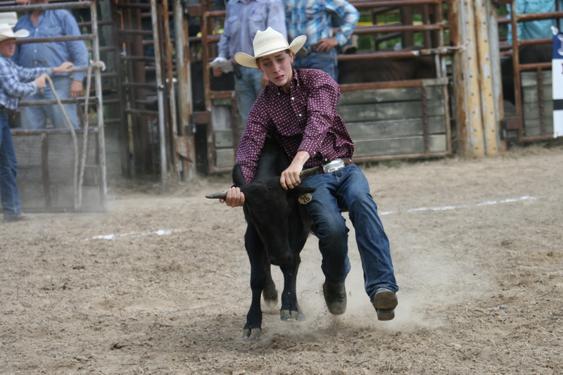 County Fairs Round Up Economic Impact and Serve as Gateway to Rodeo