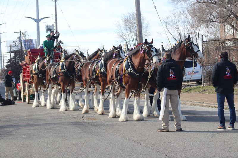 County Fairs Round Up Economic Impact and Serve as Gateway to Rodeo