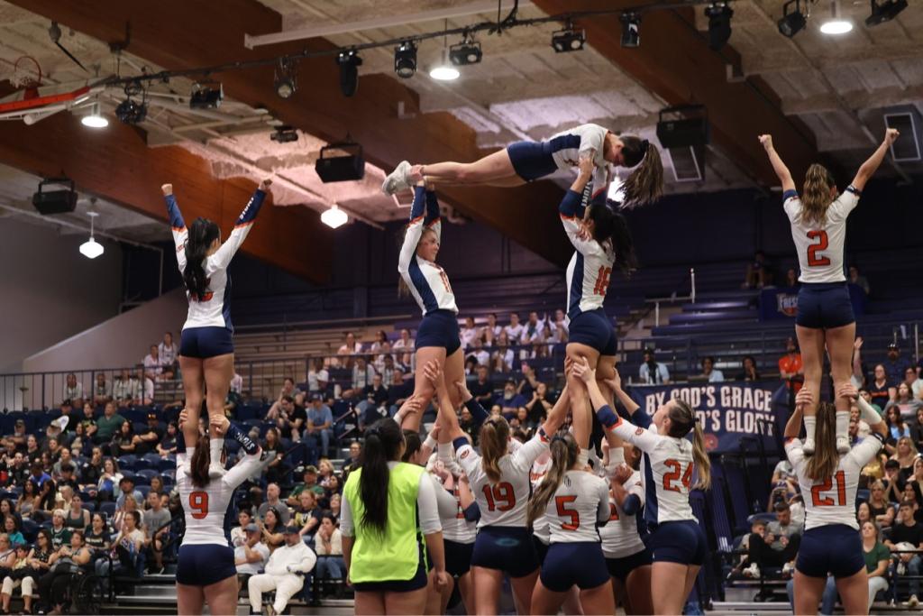 Cheer's Big Year