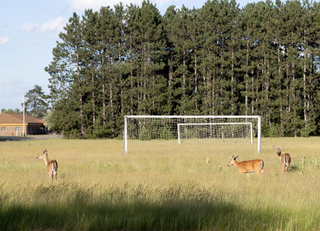 Developers Eye Closed Colleges as Potential Sports Tourism Destinations