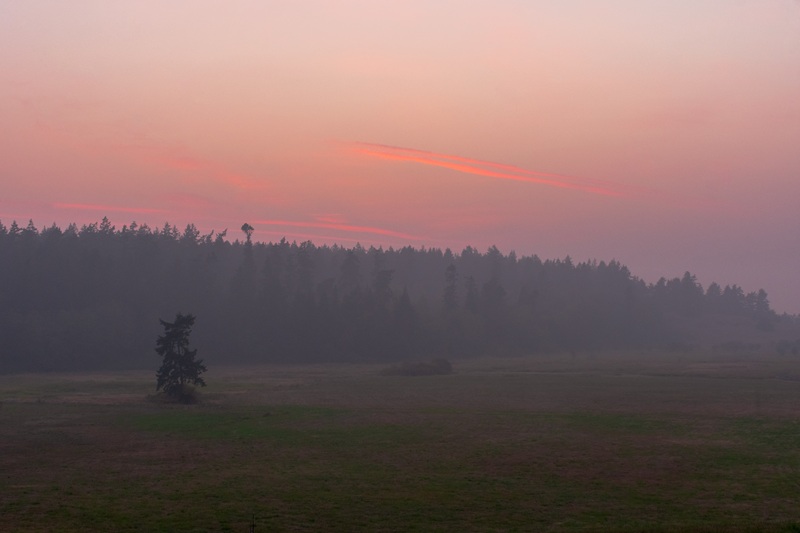 As Wildfires Rage, Oregon Sets New Air Quality Guidelines for Youth Sports