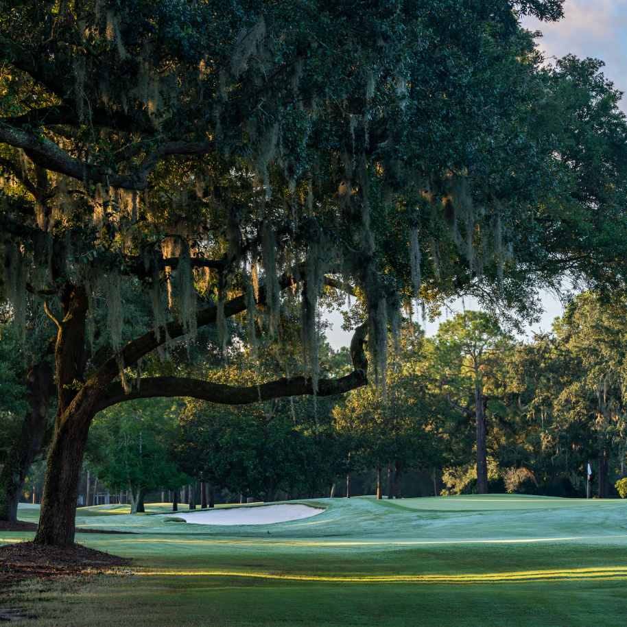 Luxury Golf Resort with Golfer Trying Skills in the Foreground
