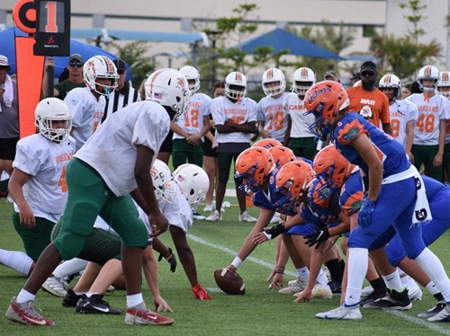 Paradise Coast Sports Complex: A Sports Tourism Powerhouse