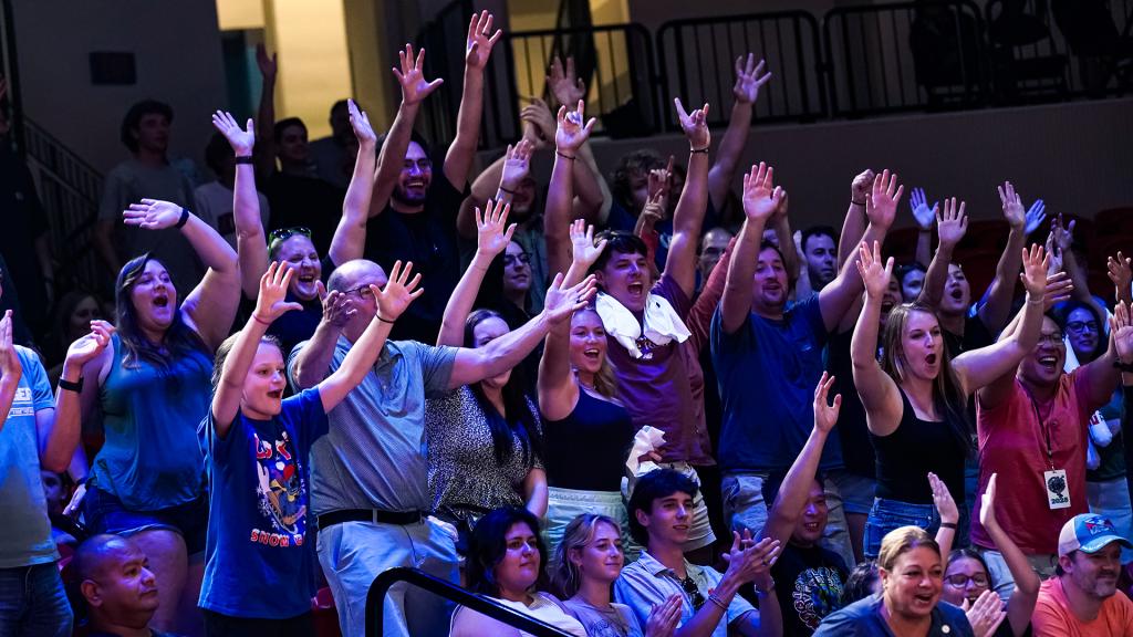 Pillow Fight Championship