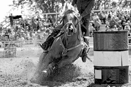 Equine Virus Upending Events