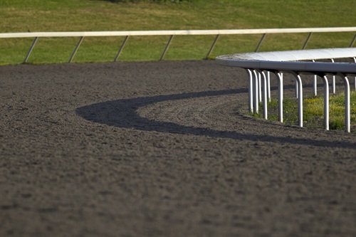 Expectations Low for Preakness 2026