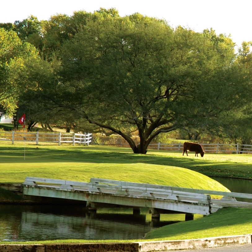 A golf course with a luxury resort in the background
