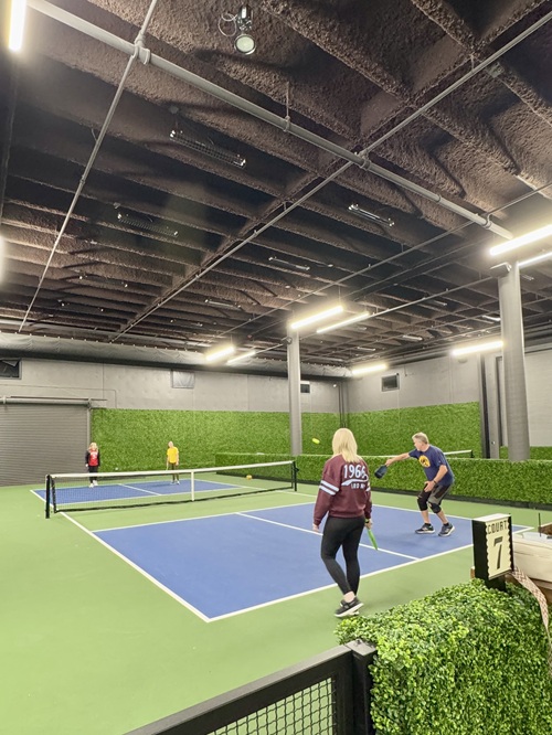 Pickleball Venues Filling the Marketplace But is Anyone Doing Research First?
