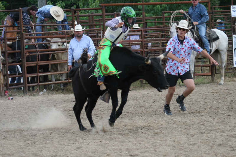 County Fairs Round Up Economic Impact and Serve as Gateway to Rodeo