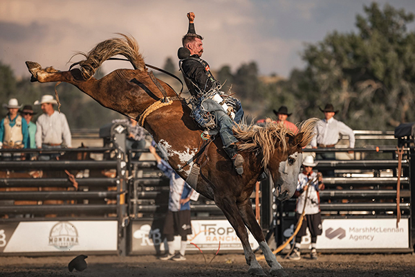 3,000-seat outdoor arena on the MetraPark grounds 