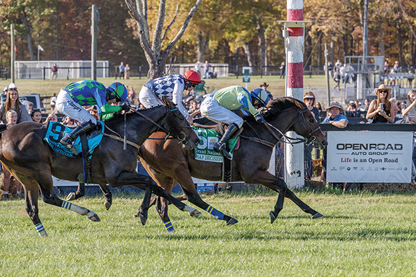 Equestrian Team Foundation in Gladstone, headquartered at Hamilton Farm
