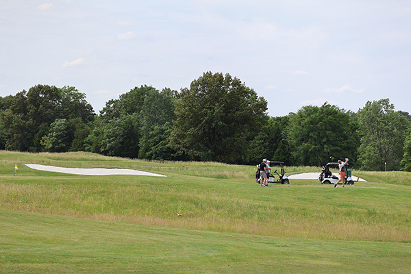 Williamson County has four courses.