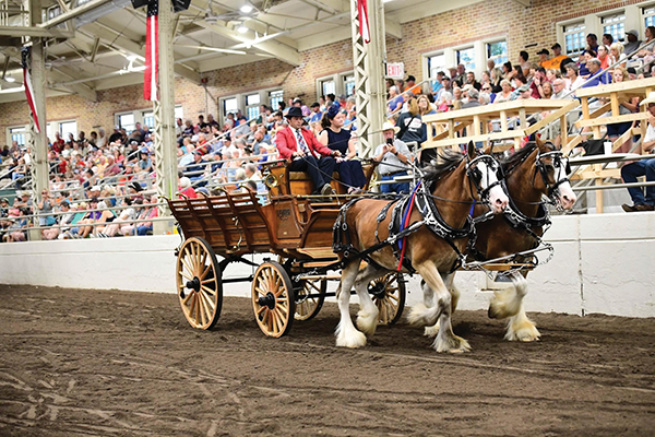 Illinois State Fairgrounds